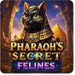 Pharaoh's Secret Felines